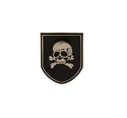 Shield with Skull and Crossbones Pins