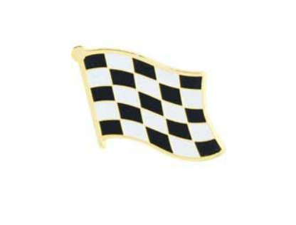 Checkered Flags Pins