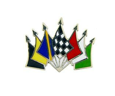 Checkered Flags Pins