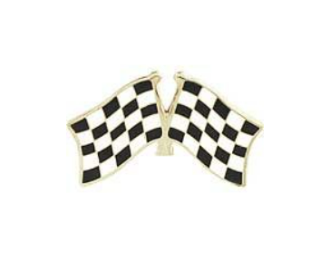 Checkered Flags Pins