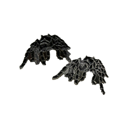 Spider Cufflinks