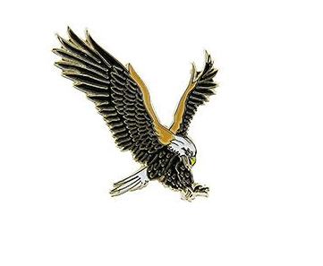 Eagle Pins