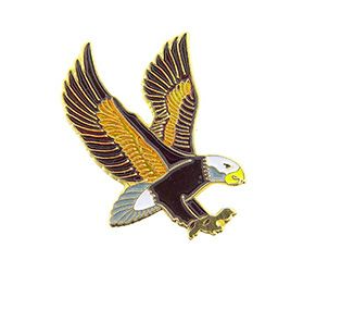 Eagle Pins