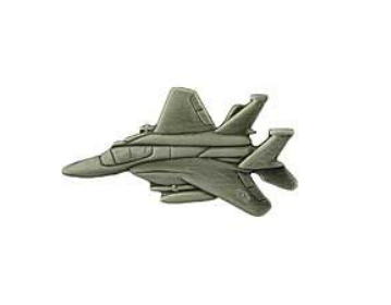 F-15 Eagle Fighter Pins