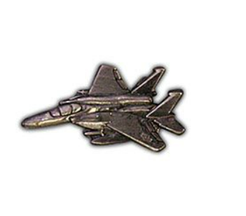 F-15 Eagle Fighter Pins