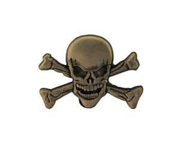 Skull Crossbones Pins