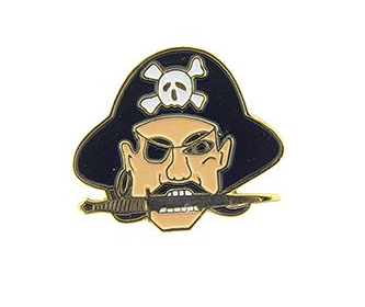 Pirate Head Skull Pins