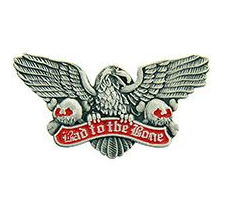 Skull & Eagle Bad to the Bond Pins