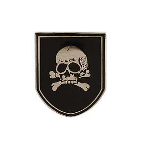 Shield with Skull and Crossbones Pins